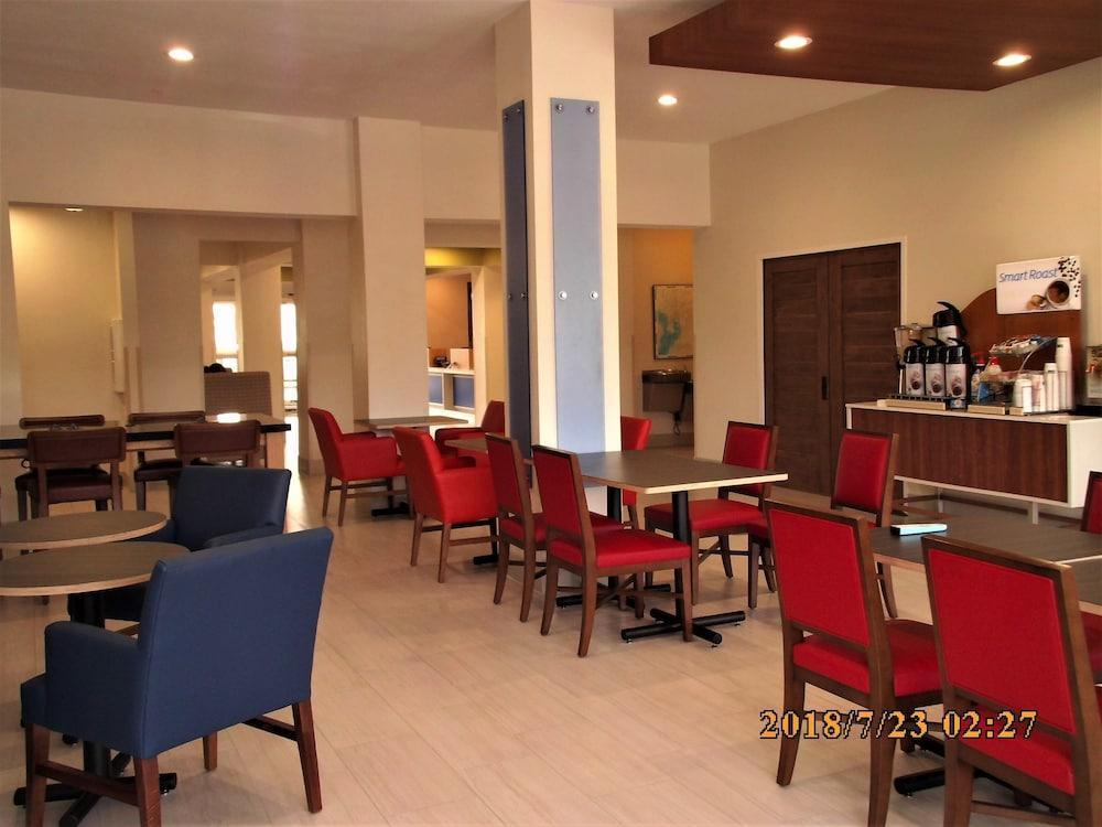 Holiday Inn Express Hotel & Suites Tampa-Fairgrounds-Casino By Ihg Mango Exterior foto